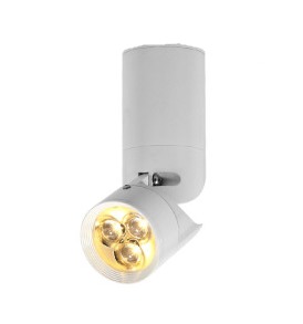 LED přisazené svítidlo Mini David bílá